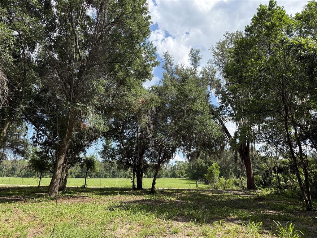 Property for sale at 620 COCHRAN ROAD, GENEVA, FL, 32732