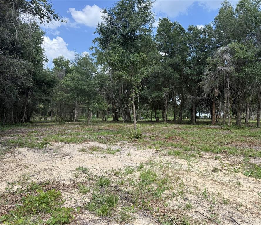 Property for sale at 620 COCHRAN ROAD, GENEVA, FL, 32732