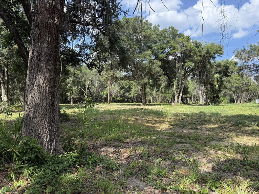 Property for sale at 620 COCHRAN ROAD, GENEVA, FL, 32732