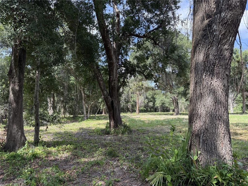 Property for sale at 620 COCHRAN ROAD, GENEVA, FL, 32732