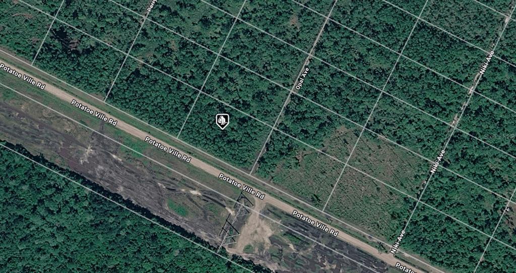 Property for sale at 21-10-28-2775-00050-0602 POTATOVILLE ROAD, HASTINGS, FL, 32145