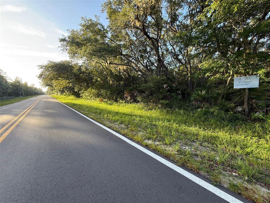 Property for sale at 161 WALLACE STREET, INTERLACHEN, FL, 32148