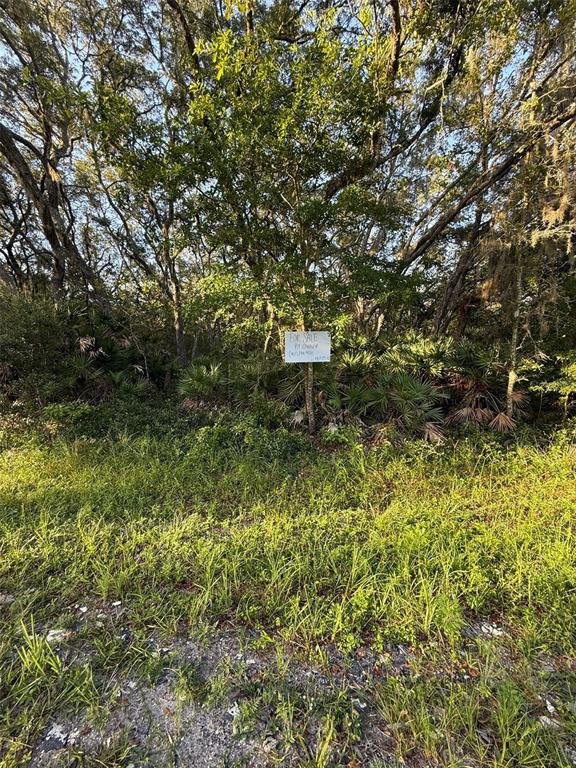Property for sale at 161 WALLACE STREET, INTERLACHEN, FL, 32148