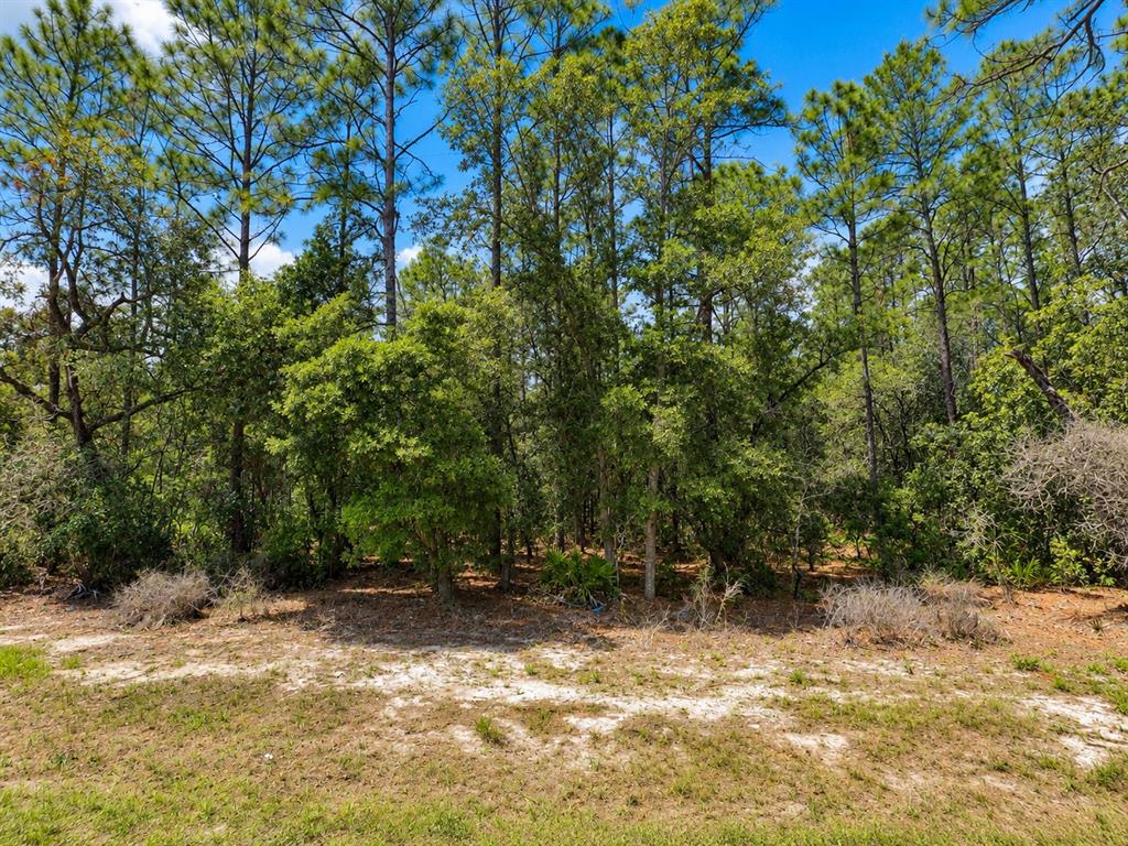 Property for sale at 0 SW 69TH COURT ROAD, OCALA, FL, 34473