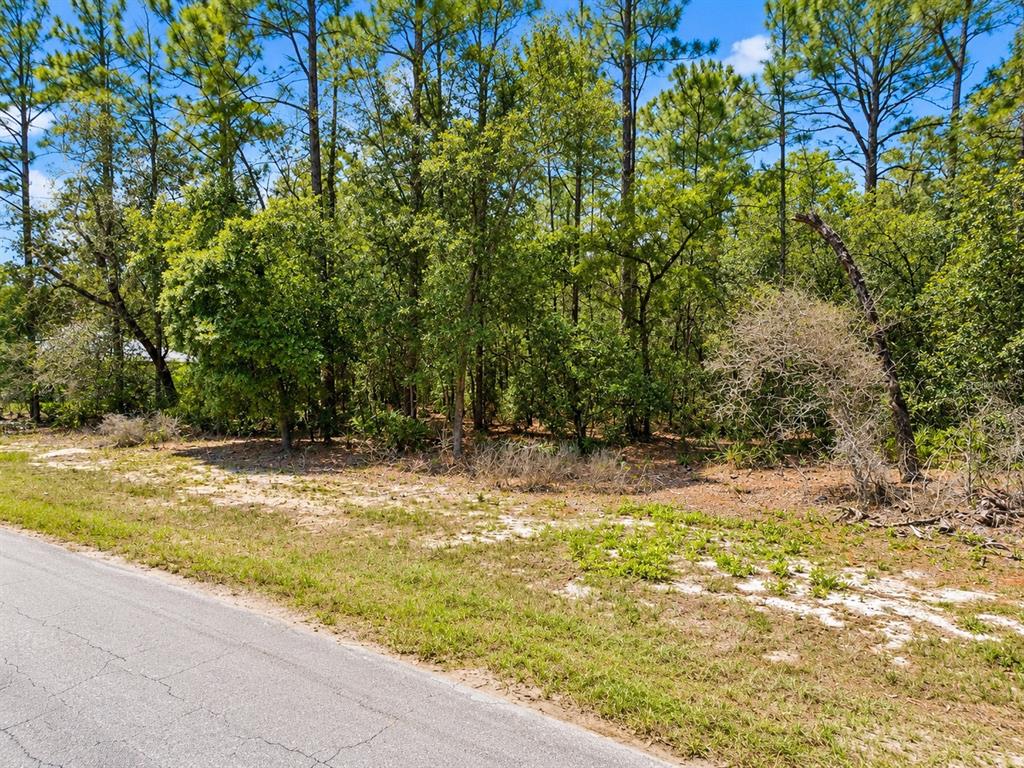 Property for sale at 0 SW 69TH COURT ROAD, OCALA, FL, 34473