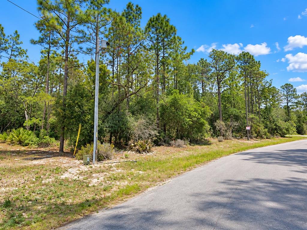 Property for sale at 0 SW 69TH COURT ROAD, OCALA, FL, 34473