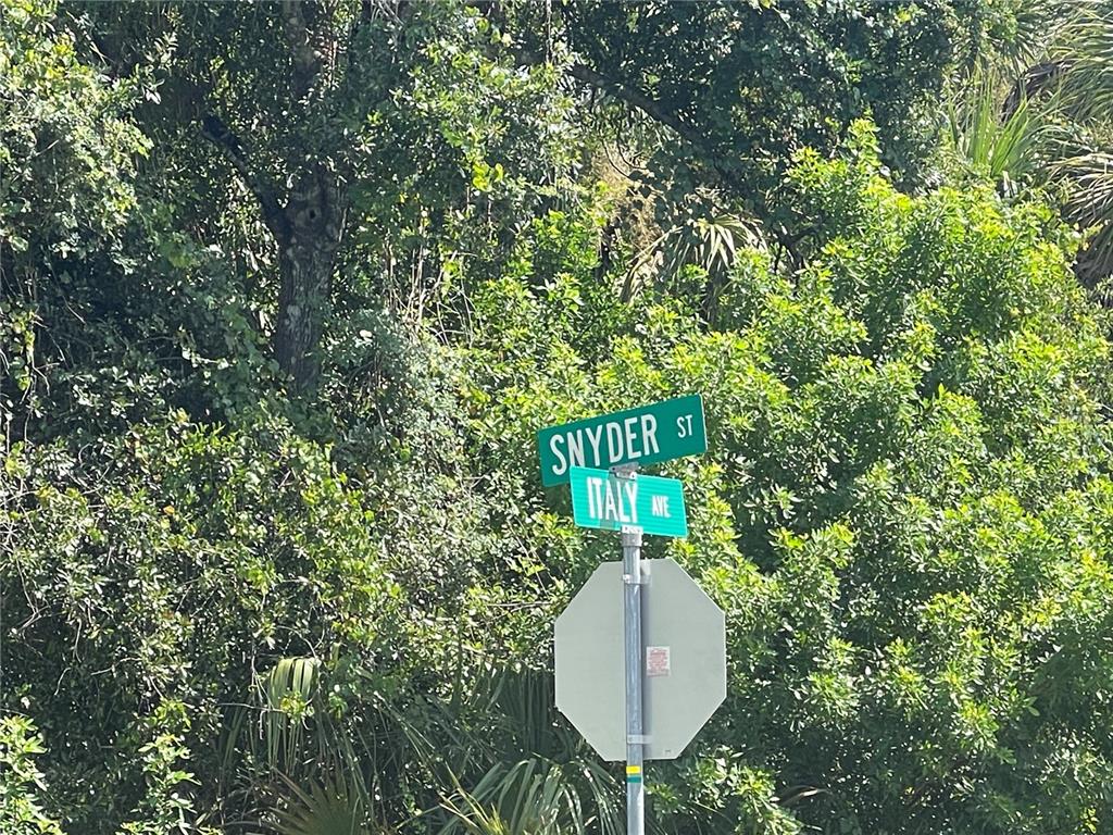 Corner of Snyder St & Italy Ave