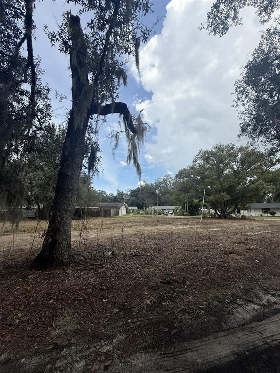 Property for sale at 6042 LEWIS DRIVE, ZEPHYRHILLS, FL, 33542