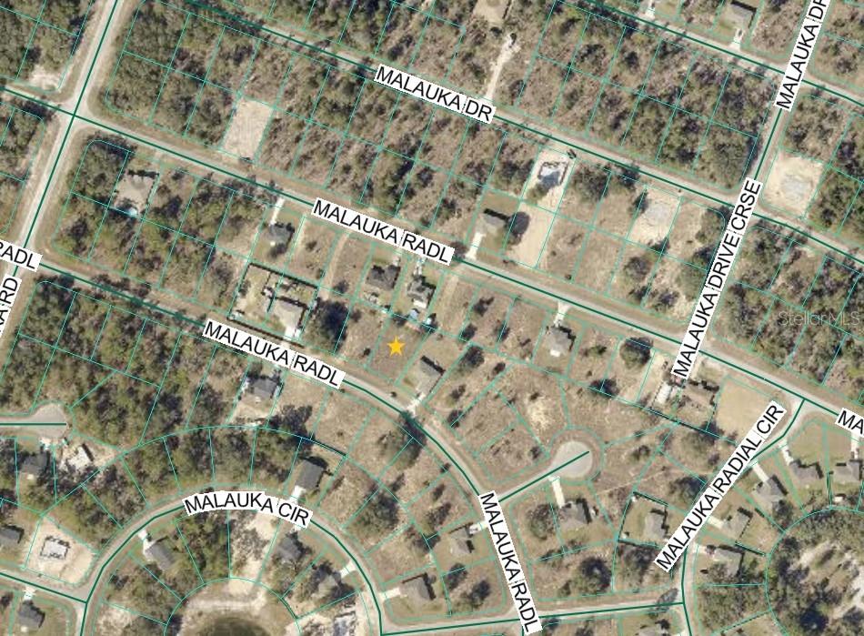 Property for sale at MALAUKA RADIAL, OCKLAWAHA, FL, 32179