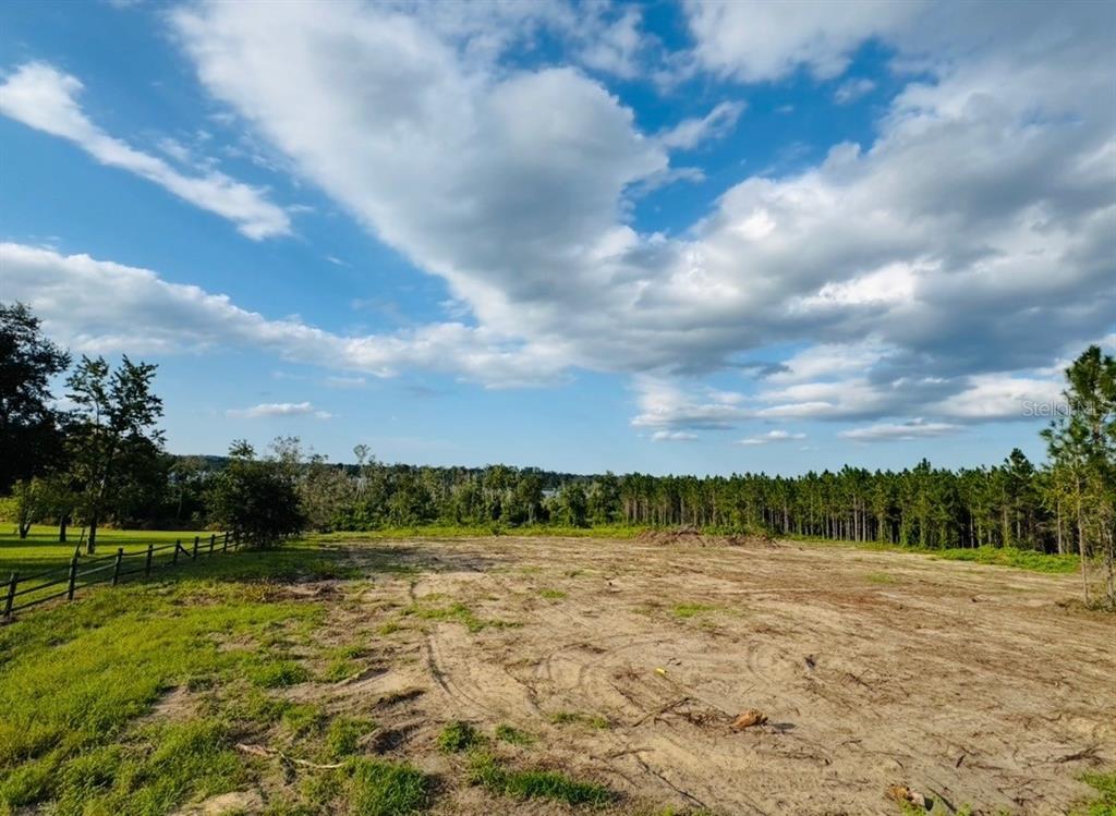 Property for sale at 16865 SE 27TH PLACE ROAD, OCKLAWAHA, FL, 32179