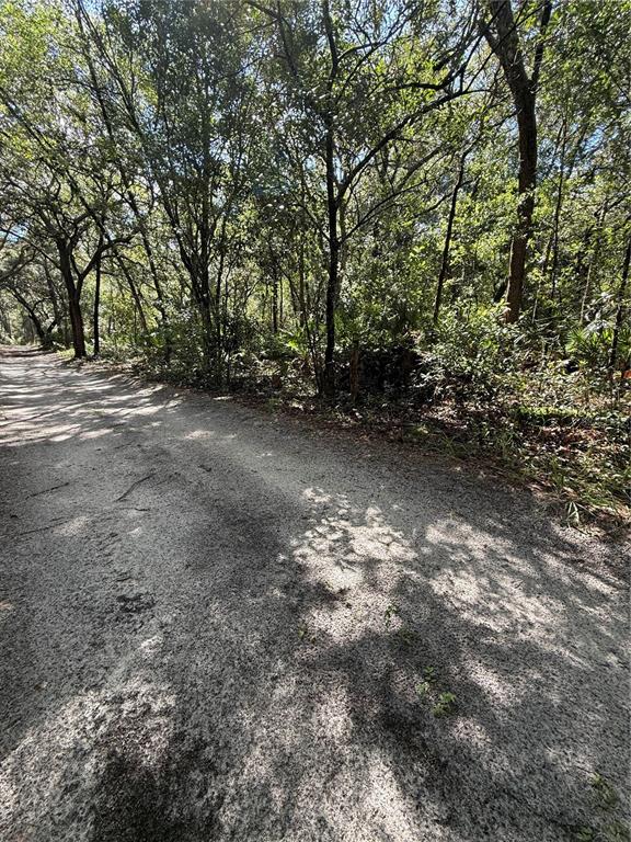 Property for sale at TBD SW 152ND PLACE, DUNNELLON, FL, 34432