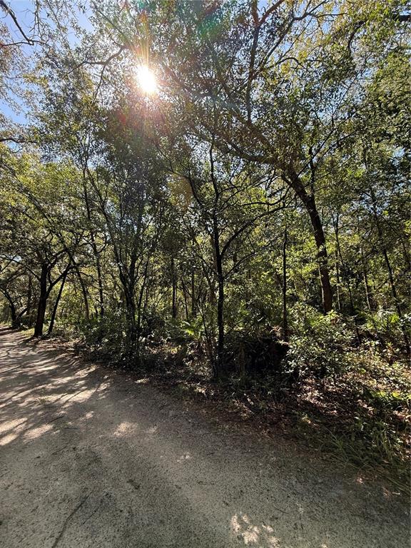 Property for sale at TBD SW 152ND PLACE, DUNNELLON, FL, 34432
