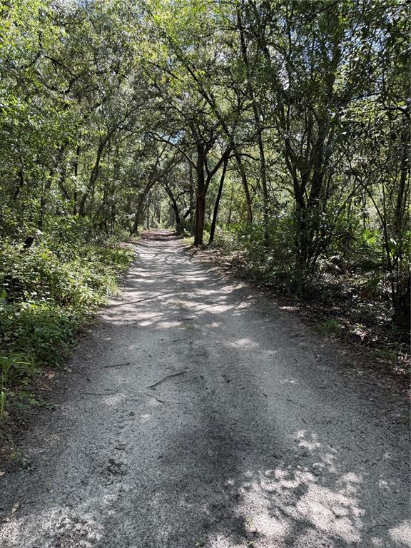 Property for sale at TBD SW 152ND PLACE, DUNNELLON, FL, 34432