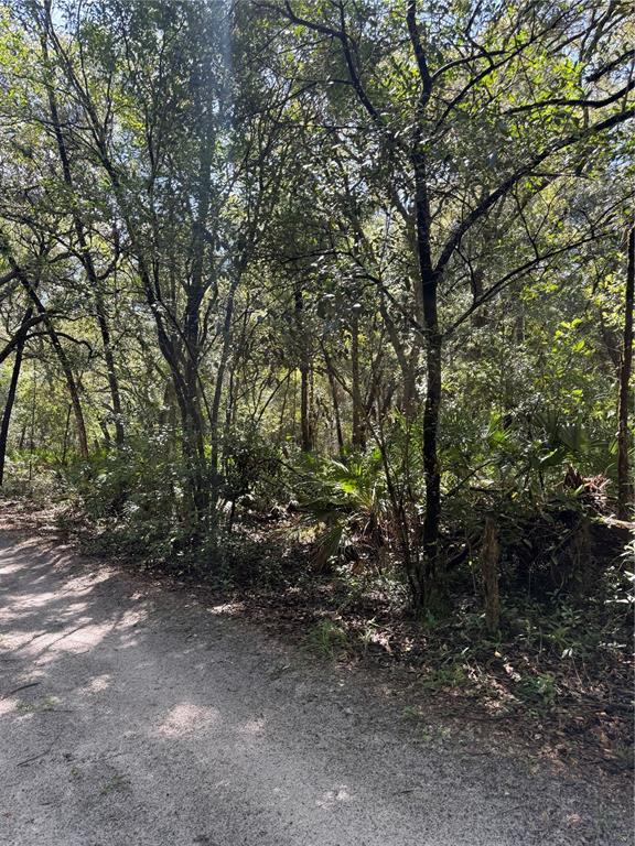 Property for sale at TBD SW 152ND PLACE, DUNNELLON, FL, 34432
