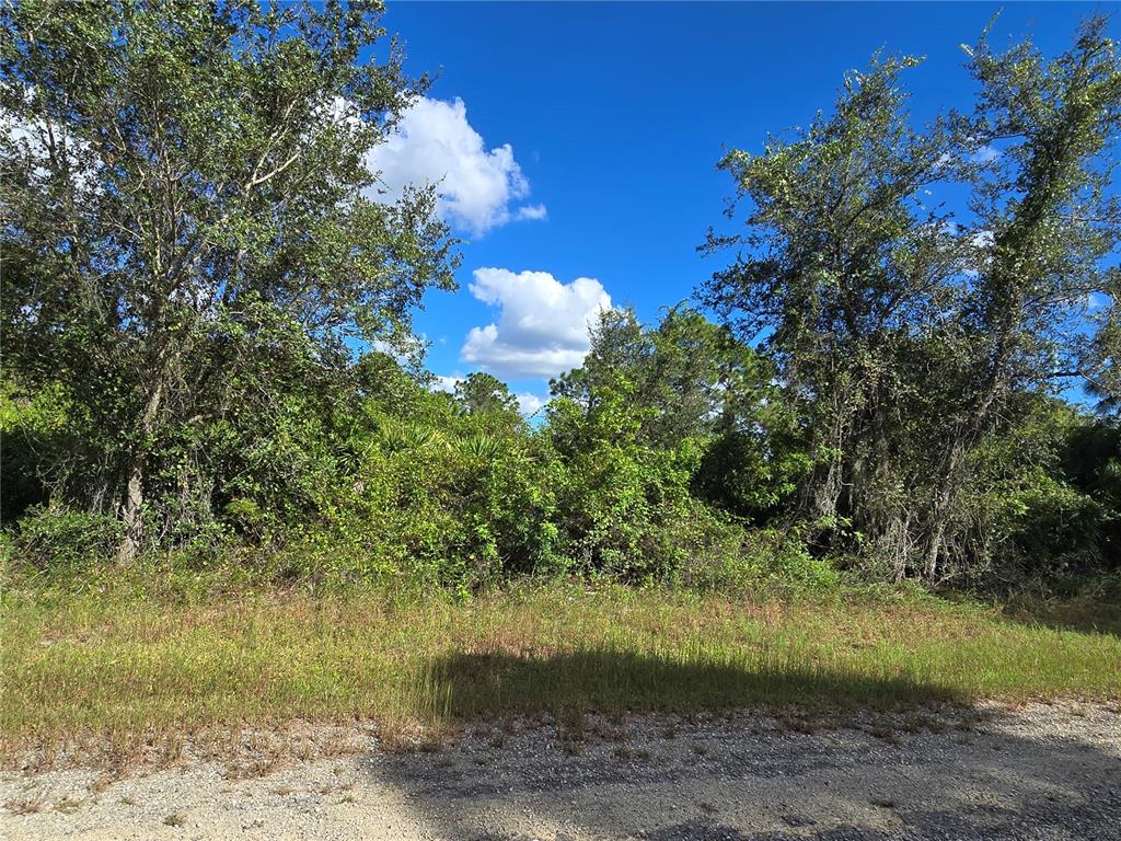 Property for sale at 419 WILDER AVENUE S, LEHIGH ACRES, FL, 33974
