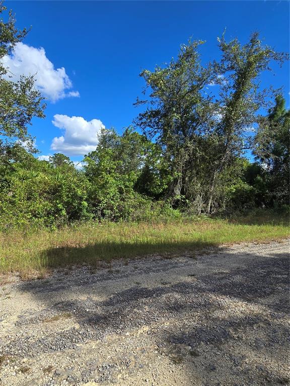 Property for sale at 419 WILDER AVENUE S, LEHIGH ACRES, FL, 33974