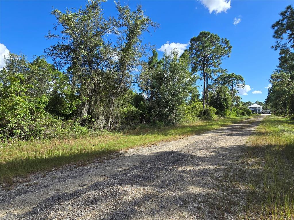 Property for sale at 419 WILDER AVENUE S, LEHIGH ACRES, FL, 33974