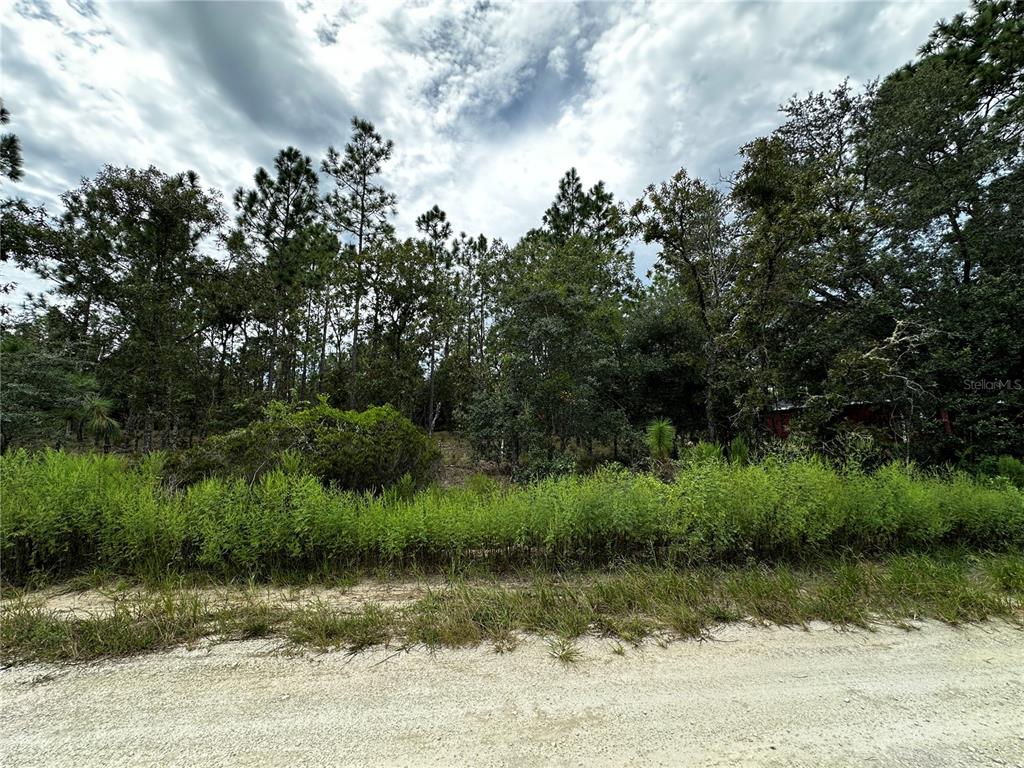 Property for sale at 0000 NE 149TH COURT, WILLISTON, FL, 32696