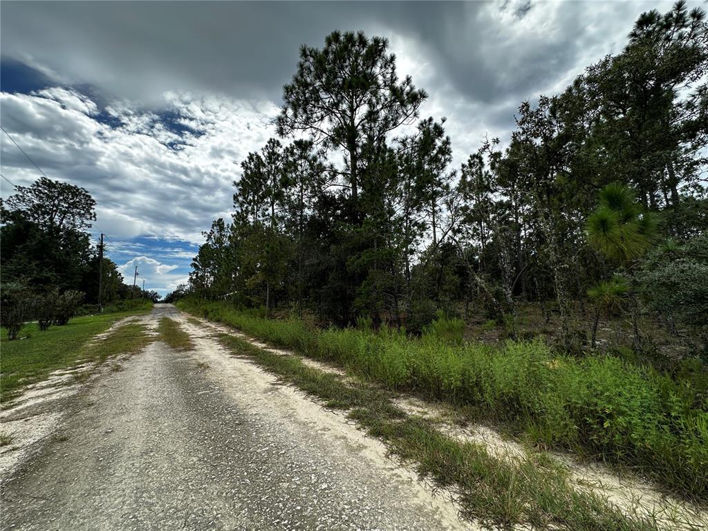 Property for sale at 0000 NE 149TH COURT, WILLISTON, FL, 32696
