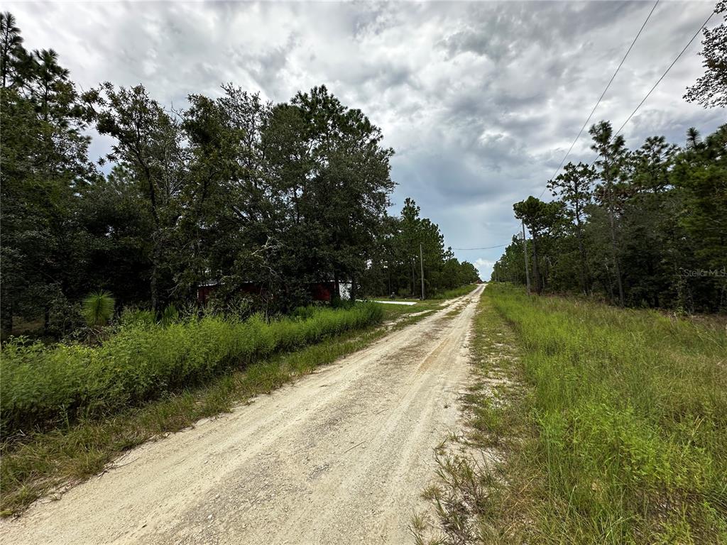 Property for sale at 0000 NE 149TH COURT, WILLISTON, FL, 32696