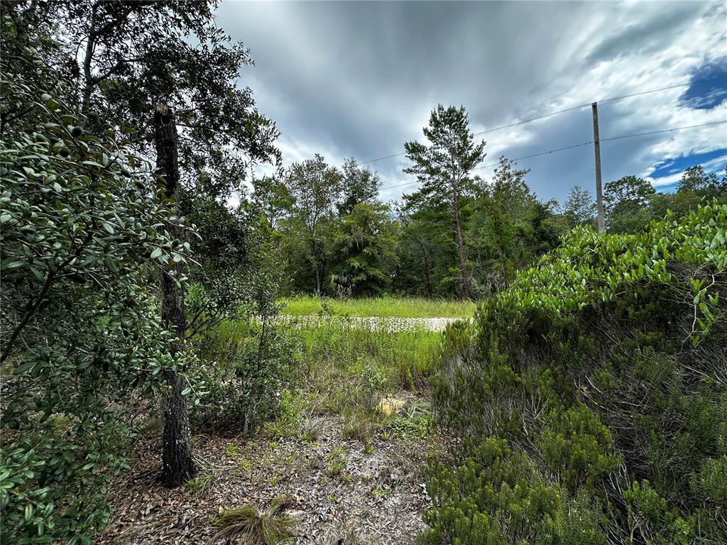Property for sale at 0000 NE 149TH COURT, WILLISTON, FL, 32696
