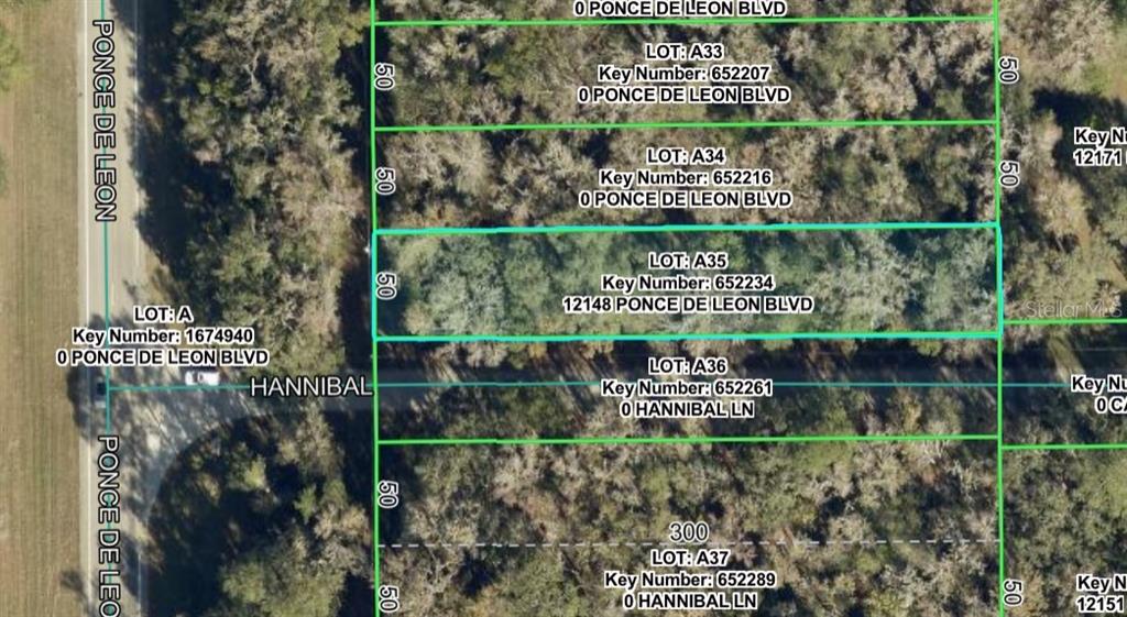 Property for sale at 12148 PONCE DE LEON BOULEVARD, BROOKSVILLE, FL, 34601