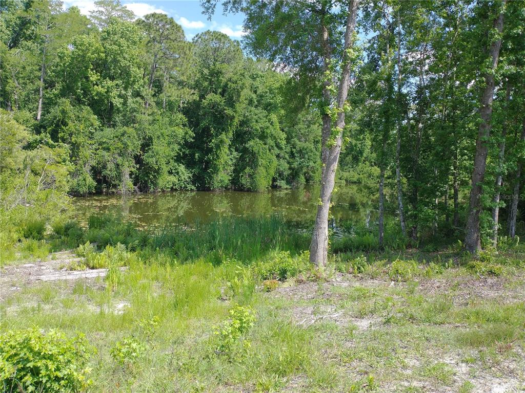 Property for sale at 0000 EAGLE BOULEVARD, LAND O LAKES, FL, 34639