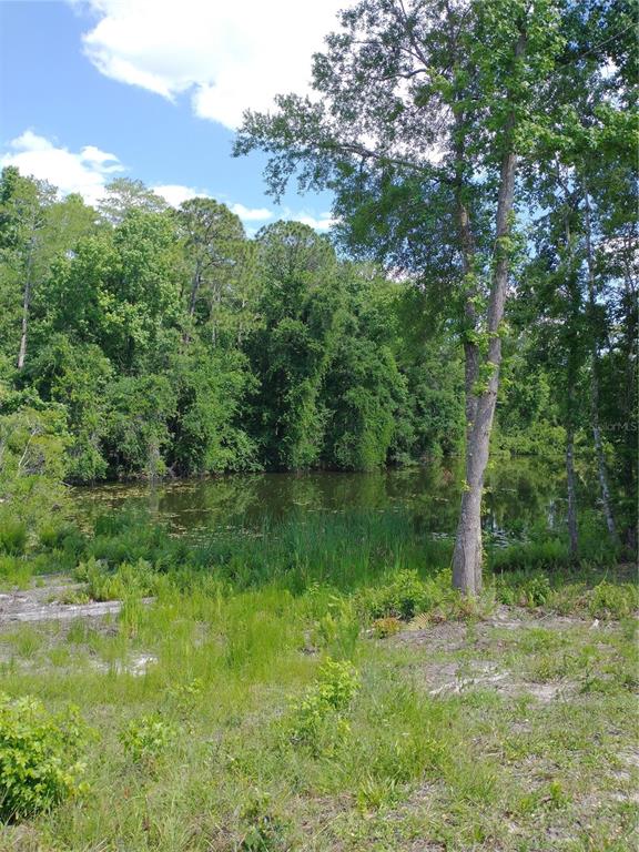 Property for sale at 0000 EAGLE BOULEVARD, LAND O LAKES, FL, 34639