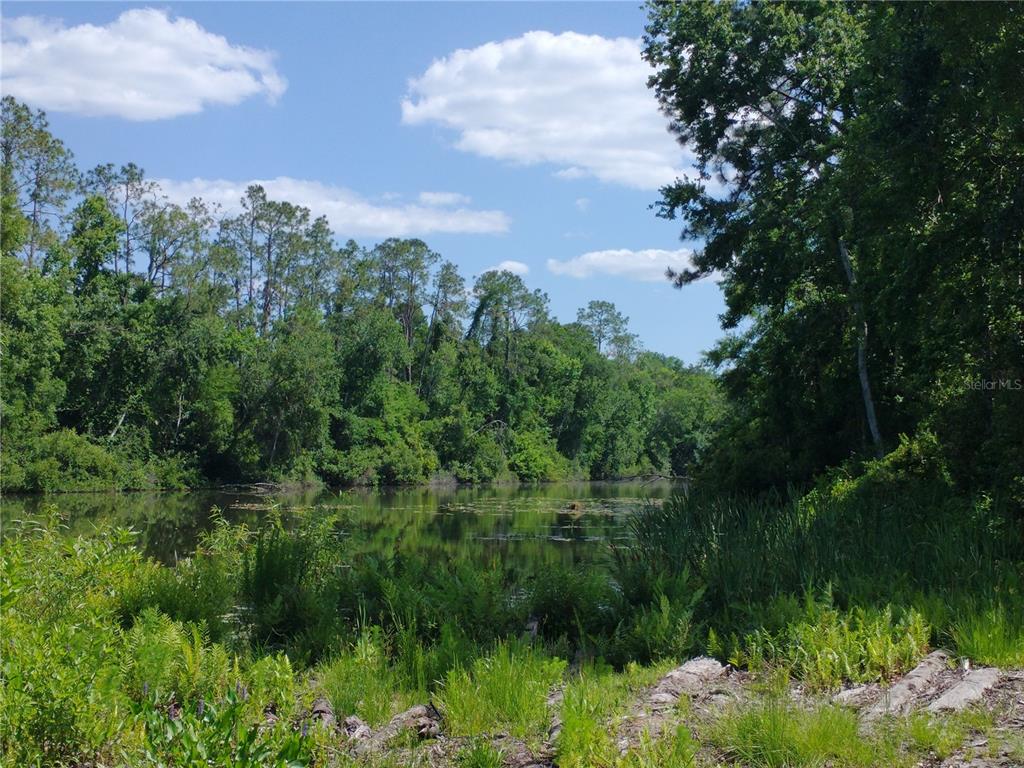 Property for sale at 0000 EAGLE BOULEVARD, LAND O LAKES, FL, 34639