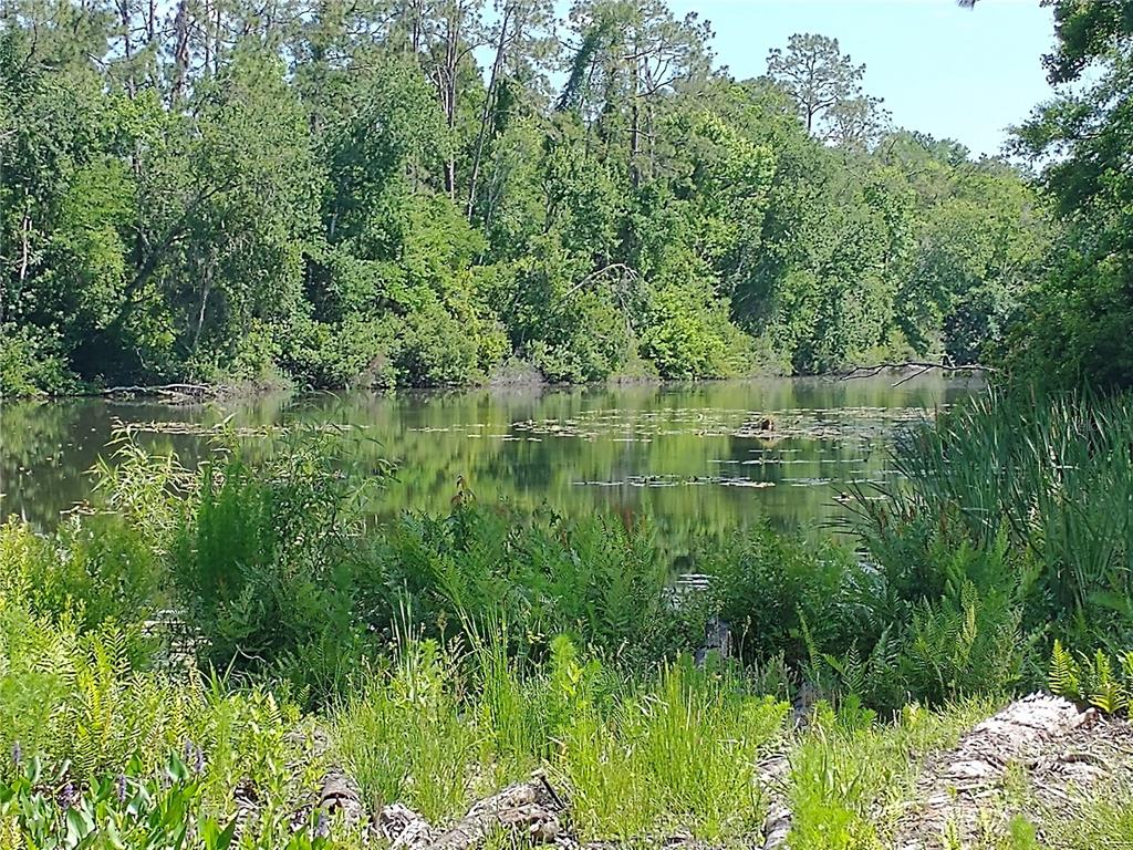 Property for sale at 0000 EAGLE BOULEVARD, LAND O LAKES, FL, 34639