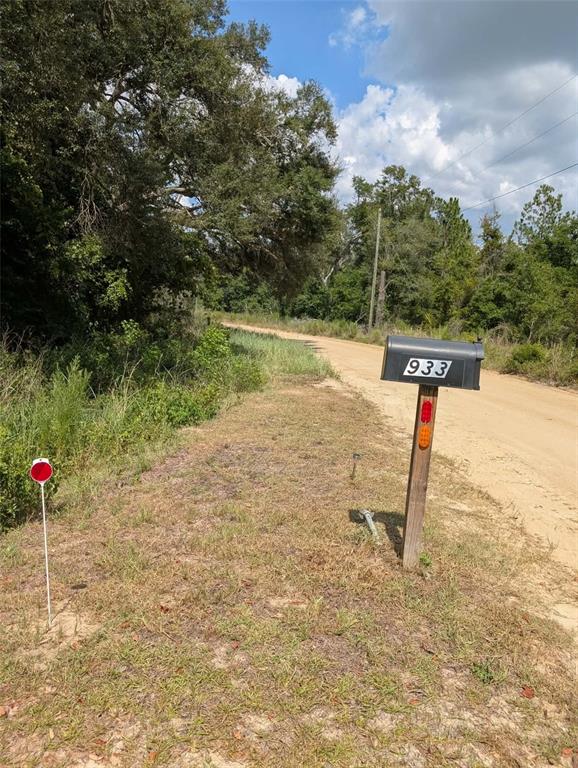 Property for sale at 933 NE FIR ST, PINETTA, FL, 32350