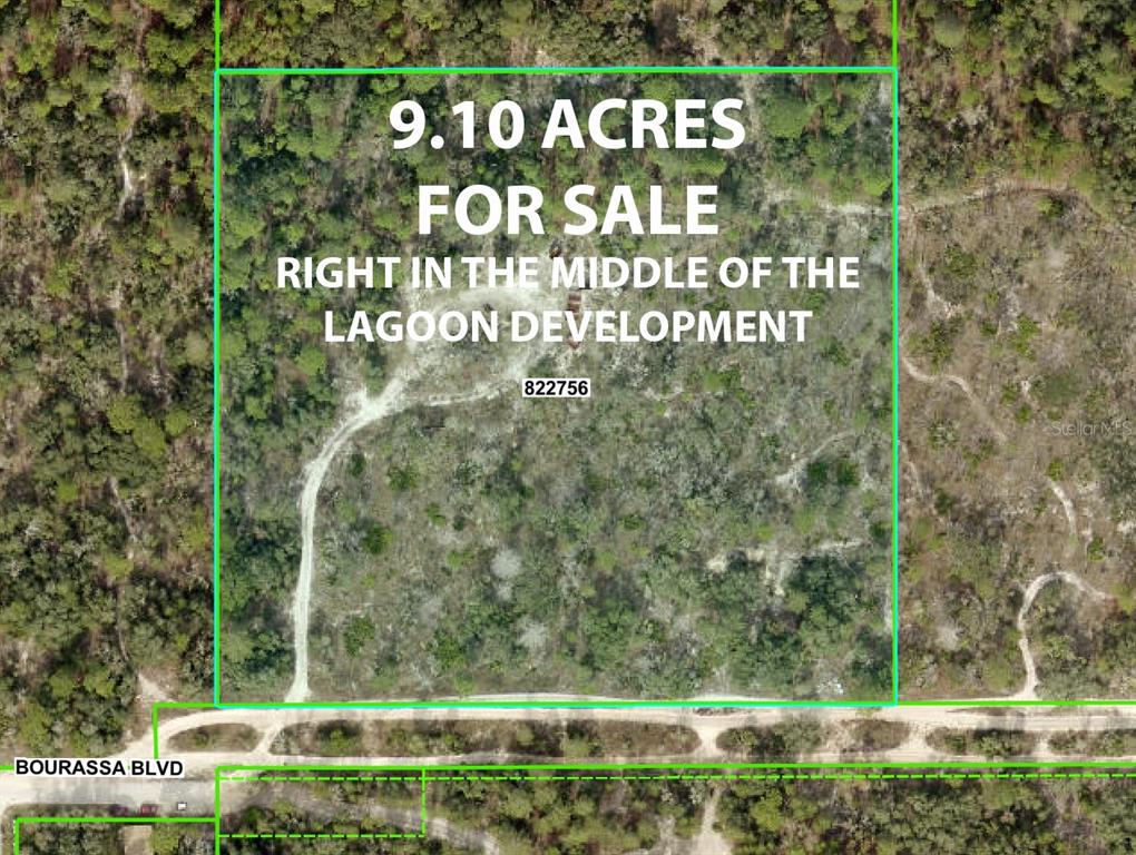 Property for sale at 11011 BOURASSA BOULEVARD, WEEKI WACHEE, FL, 34613