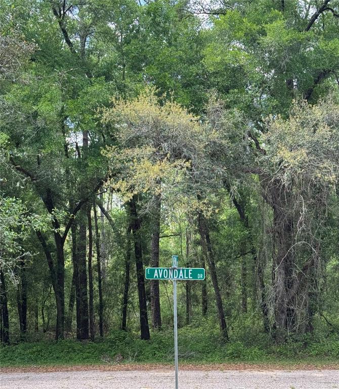 Property for sale at 433 E AVONDALE DRIVE, DUNNELLON, FL, 34434