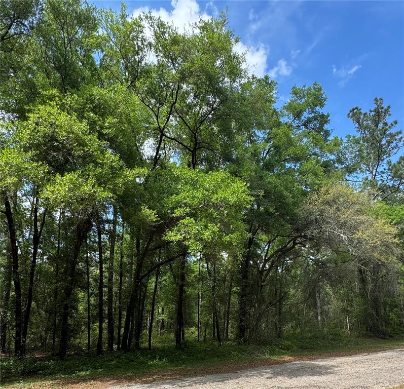 Property for sale at 433 E AVONDALE DRIVE, DUNNELLON, FL, 34434