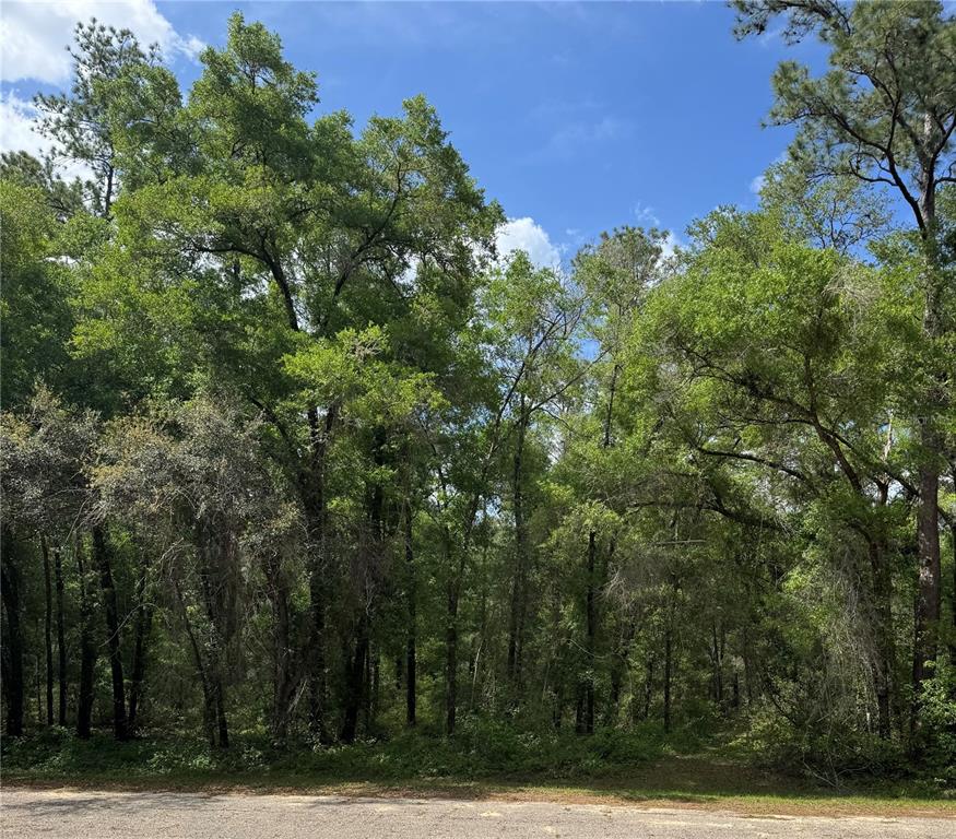 Property for sale at 433 E AVONDALE DRIVE, DUNNELLON, FL, 34434