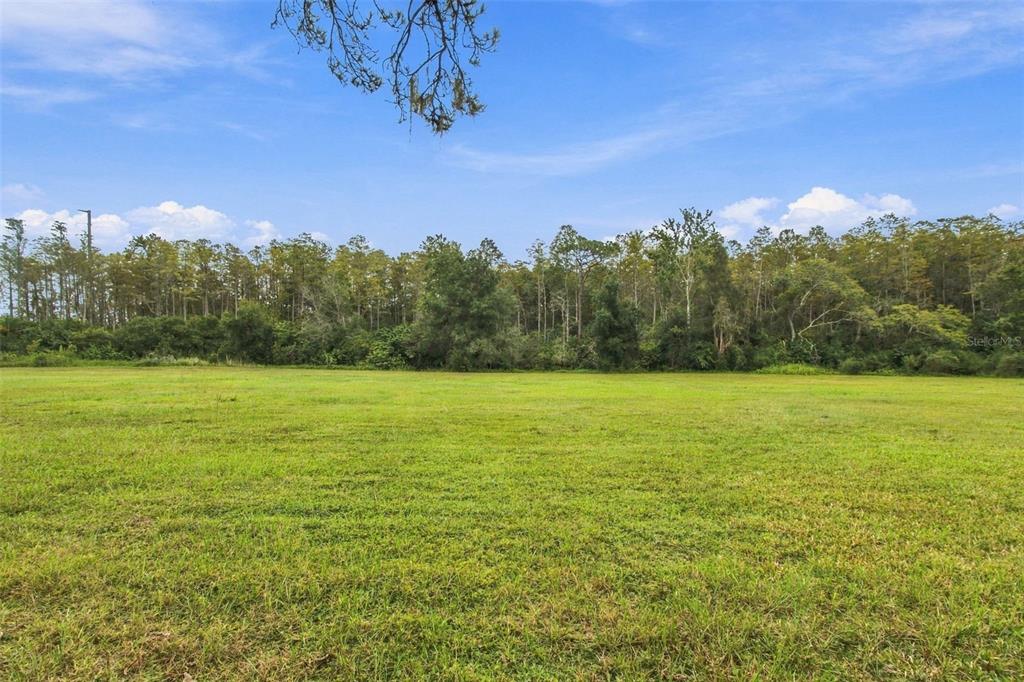 Property for sale at 19135 N DALE MABRY HIGHWAY, LUTZ, FL, 33548