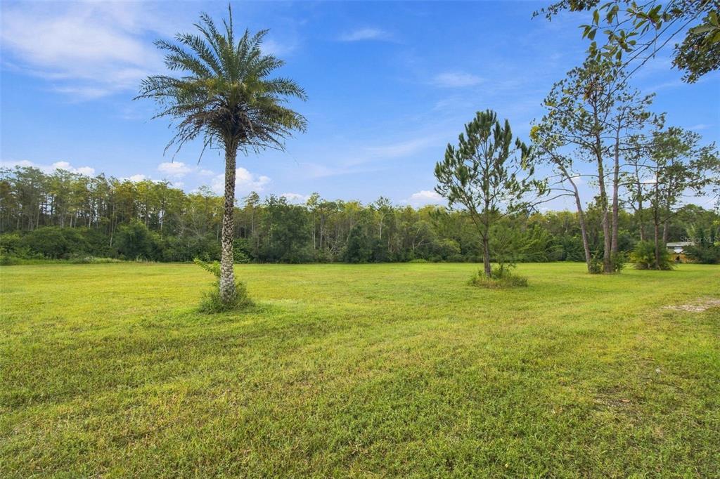 Property for sale at 19135 N DALE MABRY HIGHWAY, LUTZ, FL, 33548