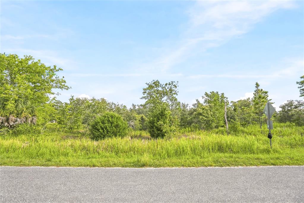 Property for sale at 0 ESTER DRIVE, BROOKSVILLE, FL, 34613