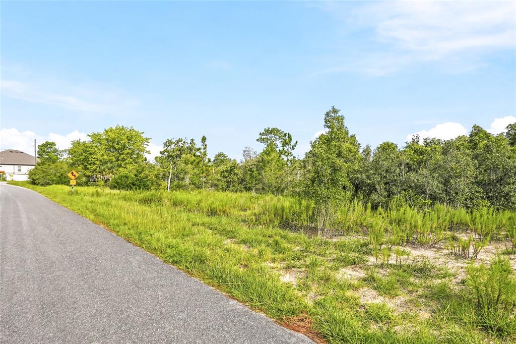 Property for sale at 0 ESTER DRIVE, BROOKSVILLE, FL, 34613