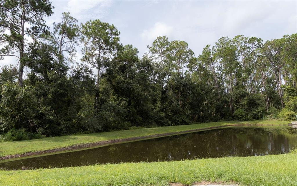 Property for sale at 6529 TABOGI TRAIL, WESLEY CHAPEL, FL, 33545
