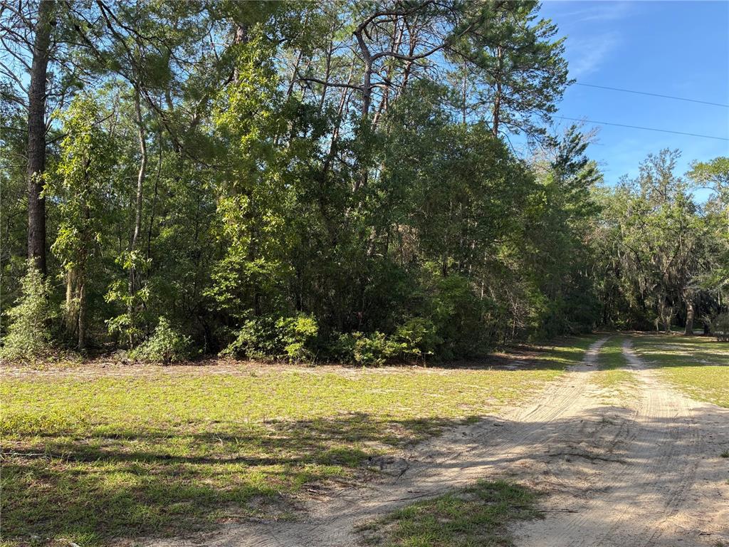 2nd vacant lot