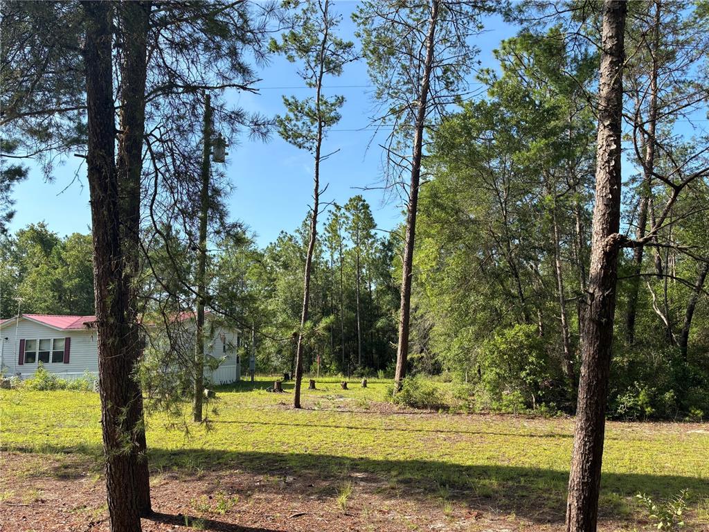 1st vacant lot next door