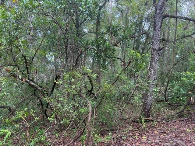 Property for sale at 177 N OAKWOOD TERRACE, INVERNESS, FL, 34453
