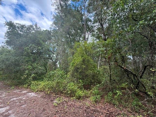 Property for sale at 177 N OAKWOOD TERRACE, INVERNESS, FL, 34453