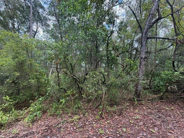Property for sale at 177 N OAKWOOD TERRACE, INVERNESS, FL, 34453