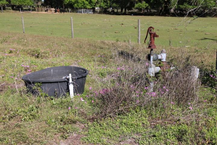 Property for sale at CR 48, BUSHNELL, FL, 33513