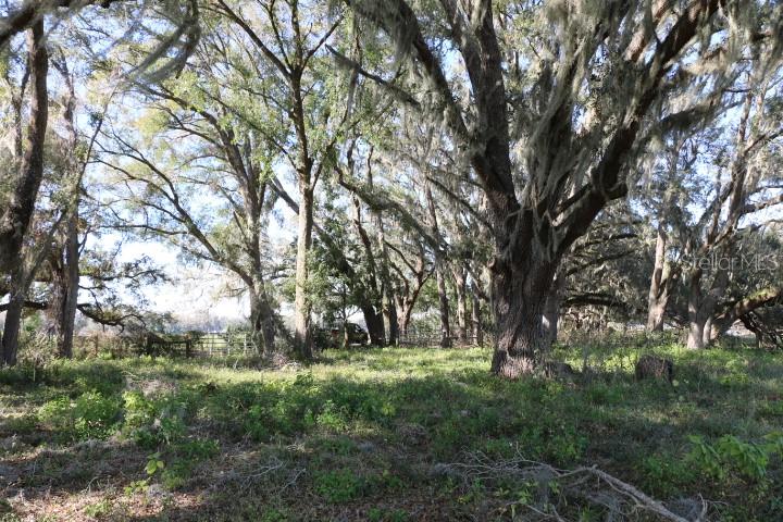 Property for sale at CR 48, BUSHNELL, FL, 33513