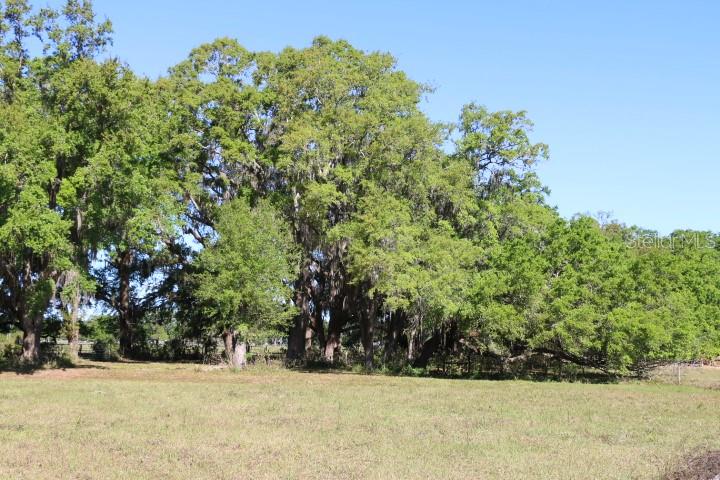 Property for sale at CR 48, BUSHNELL, FL, 33513