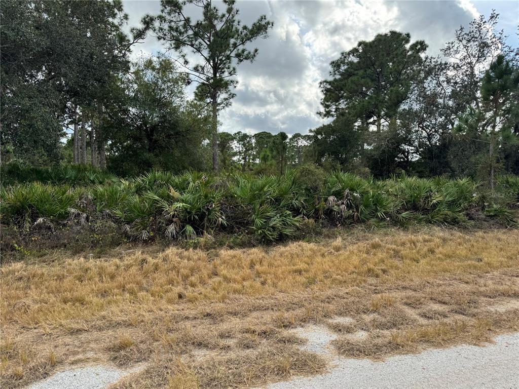 Front View of Lot