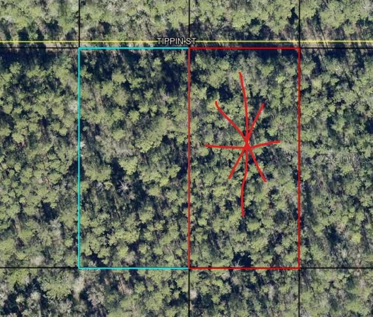 Property for sale at Tract 597 TIPPIN ST, HASTINGS, FL, 32145